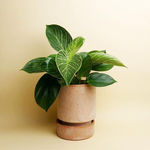 Hoff Pot - Set - Ø 14 cm