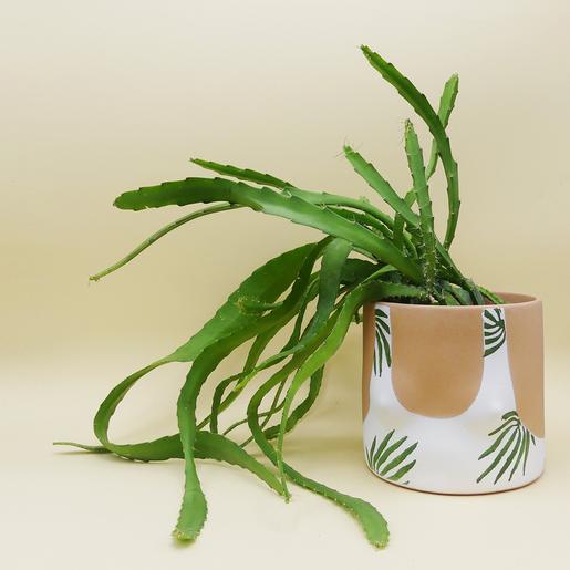 hellbrauner Boob-Pot mit Blätterprint