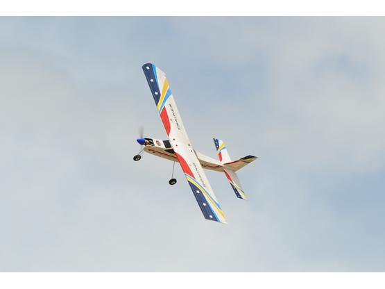Phoenix Trainer Domino - 158 cm  | Artikelnummer: PH021