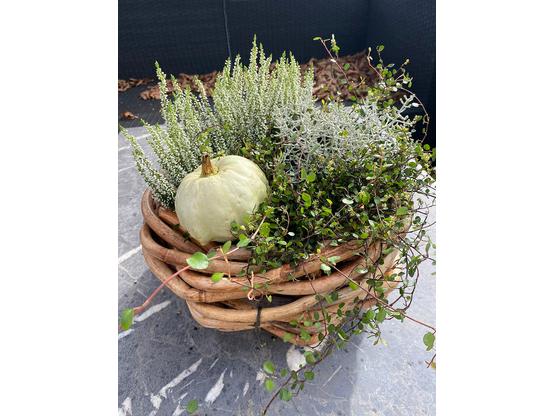 A2 Living Rattan Pflanzkorb – Natürliche Eleganz für dein Zuhause Mini Ø 23 cm | Artikelnummer: 3738-2363-6033