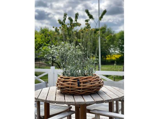 A2 Living Rattan Pflanzkorb – Natürliche Eleganz für dein Zuhause Maxi Ø 37 cm | Artikelnummer: 3100-7803-4457