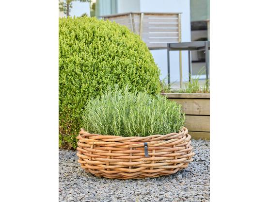 A2 Living Rattan Pflanzkorb – Natürliche Eleganz für dein Zuhause Ø50 cm | Artikelnummer: 4838-4173-0836