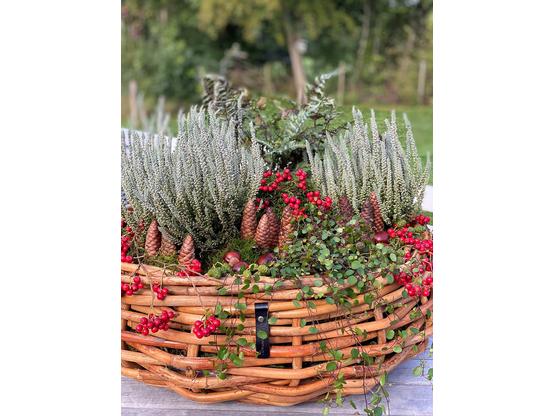 A2 Living Rattan Pflanzkorb – Natürliche Eleganz für dein Zuhause Maxi Ø 37 cm | Artikelnummer: 3100-7803-4457