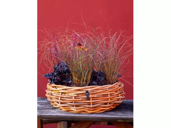 A2 Living Rattan Pflanzkorb – Natürliche Eleganz für dein Zuhause Ø50 cm | Artikelnummer: 4838-4173-0836