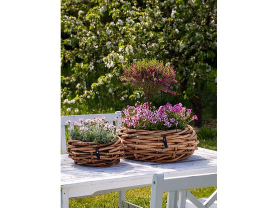 A2 Living Rattan Pflanzkorb – Natürliche Eleganz für dein Zuhause Maxi Ø 37 cm | Artikelnummer: 3100-7803-4457
