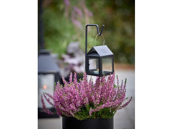 A2 Living Laternenstab – Schwarzer Gartenstab für Hängelaternen 90 cm | Artikelnummer: 0275-6535-2630