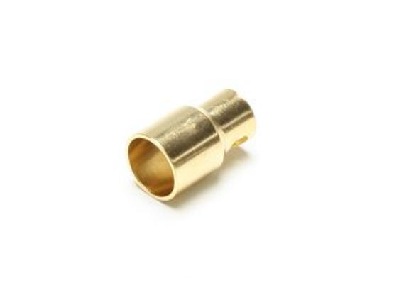 Gold Buchse 8,0mm (VE=5St.) | Artikelnummer: C5646
