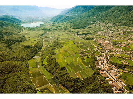 Pinot Grigio 2022 | Artikelnummer: 5870-2420-8554