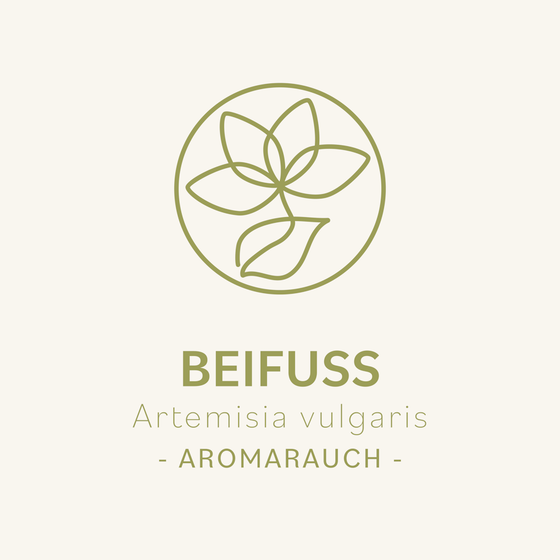 Beifuß