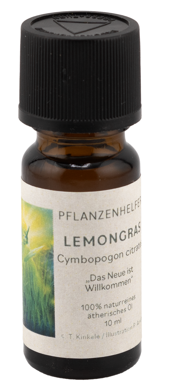 Lemongras Pflanzenhelfer