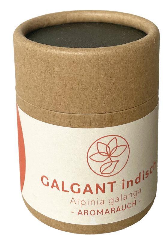 Galgant indisch