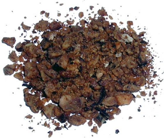 Muskatnuss