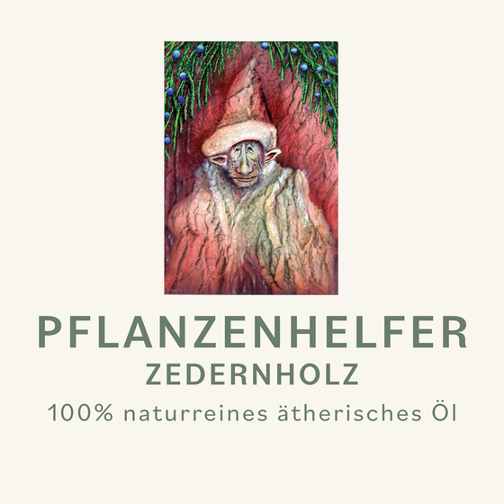 Zedernholz Pflanzenhelfer
