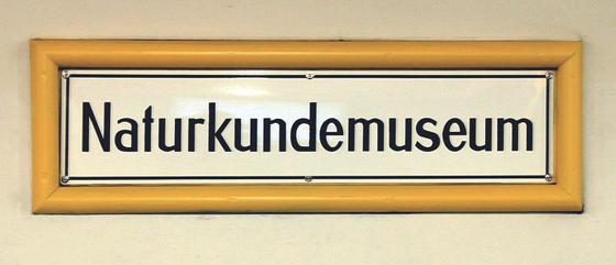 Kaffeetasse Kaffeebecher U-Bahnhof Naturkundemuseum, Zinnowitzer Straße, Linie U6 Berlin.Mitte, Schwartzkopffstrasse, Charite, Oranienburger Tor