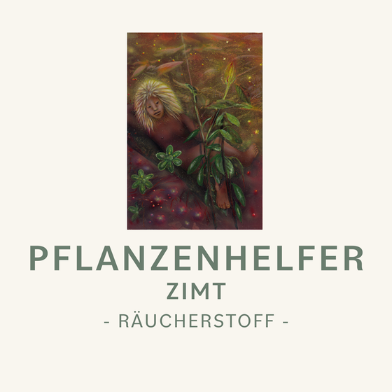 Zimt Pflanzenhelfer