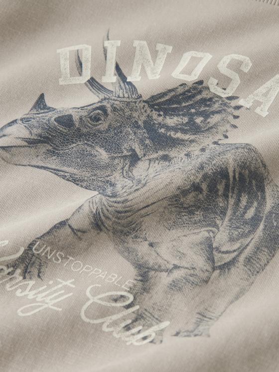 Name It Sweatshirt Dinosaur Chateau Gray