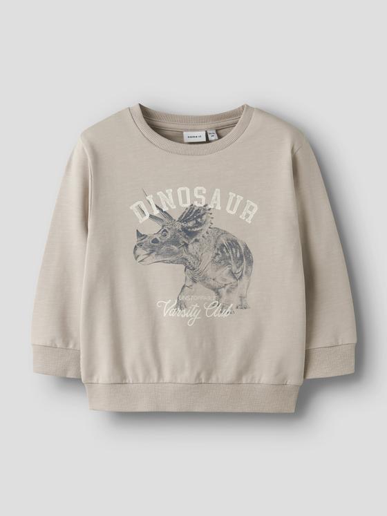Name It Sweatshirt Dinosaur Chateau Gray