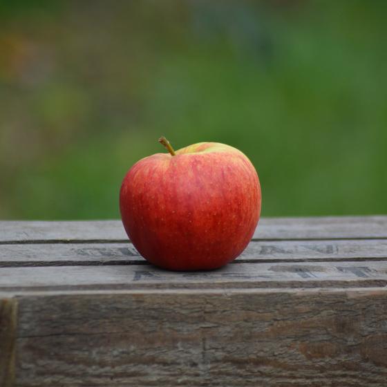 jonagored apfel