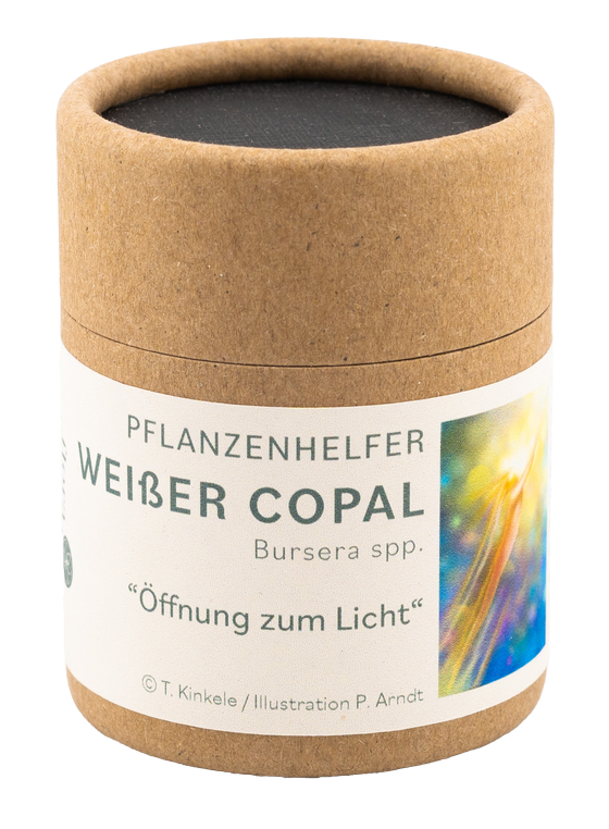 Weißer Copal Pflanzenhelfer