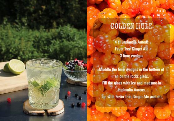Laplandia Aureus Cloudberry Wodka 40% (700ml)