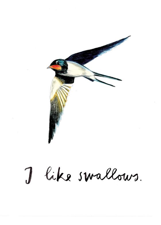 Silke Schmidt, Postkarte I Like Swallows