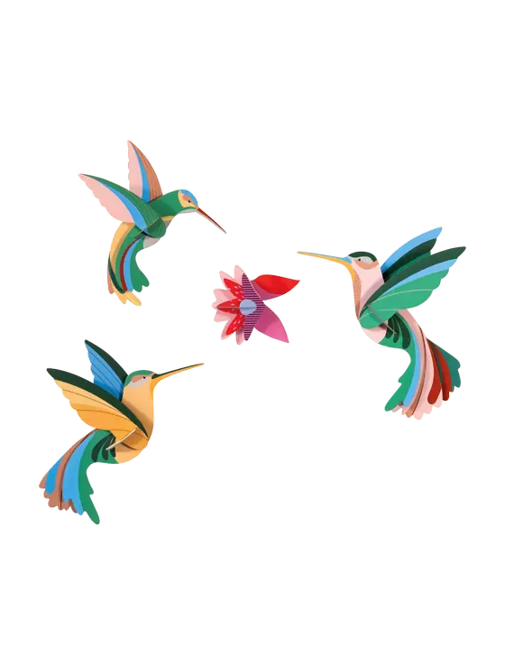 Studio Roof Dance of the Hummingbirds