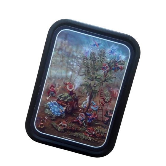 Metalldose, Gnome Grown mit Inhalt