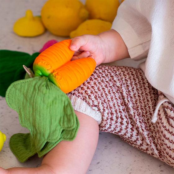 Oli&Carol Mini Doudou-Teether Cathy the Carrot
