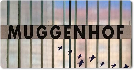 U-Bahn-Magnet Nuernberg Muggenhof der Linie U1 in der originalgetreuen Stations-Gestaltung - oberirdische Drahtglaswand mit schwarzer Schrift auf weissem Schild und aufgeklebten Voegeln