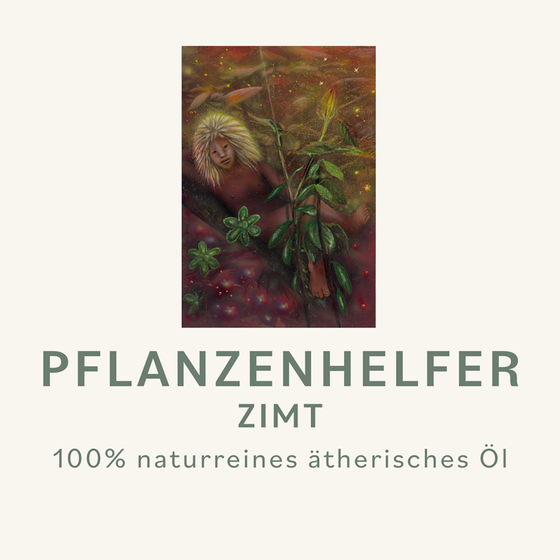 Zimt Pflanzenhelfer