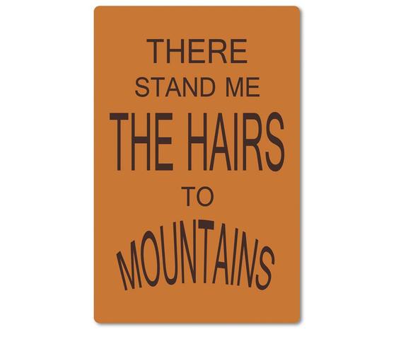 Kraeftiger Kuehlschrankmagnet aus Magnetfolie in ungefaehrer Groesse einer Bankkarte - Beste Denglisch-Sprueche - There stand me the hairs to mountains. 