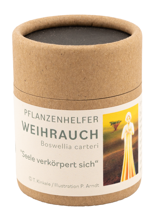 Weihrauch Pflanzenhelfer