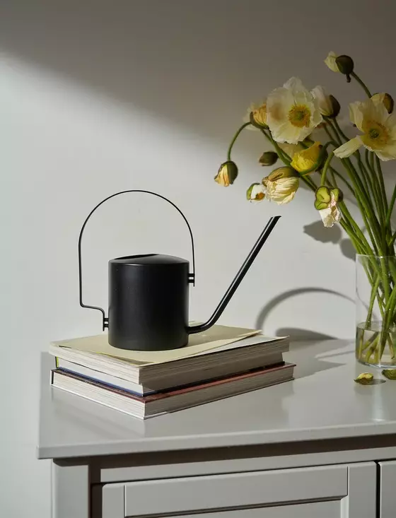Arne Jacobsen Gieskanne Stahl