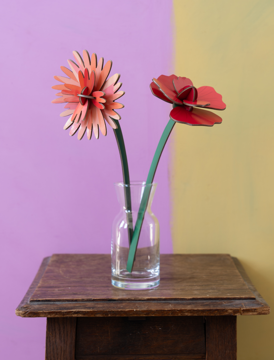 Studio Roof Orange Dhalia