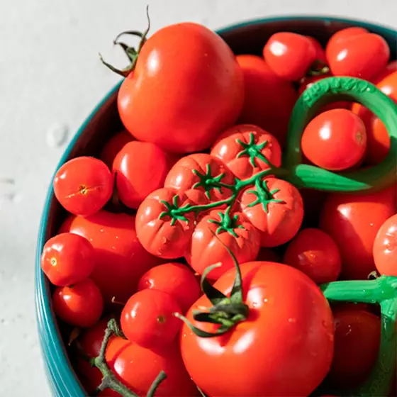 Oli&Carol Rattle Toy Tomato 