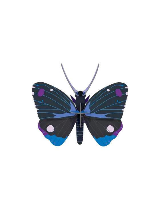 Studio Roof Blue Diadem Butterfly