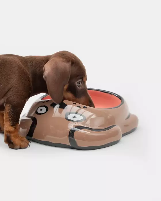 Dog Bowl by Jean Jullien