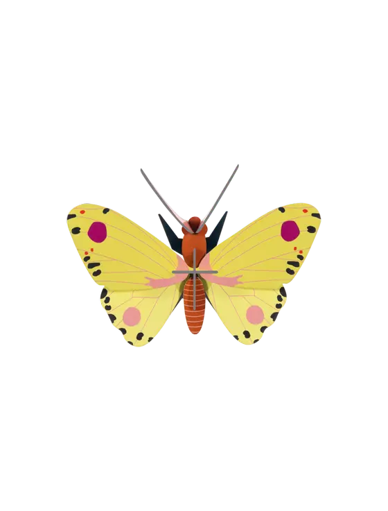 Studio Roof Luzerne Butterfly