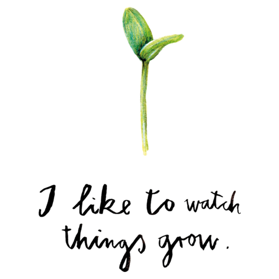 Silke Schmidt, Postkarte Grow