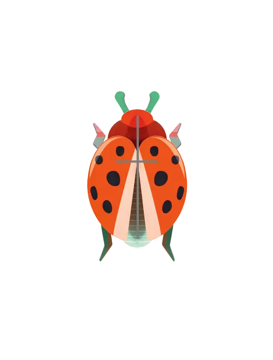 Studio Roof Coccinelle Rouge