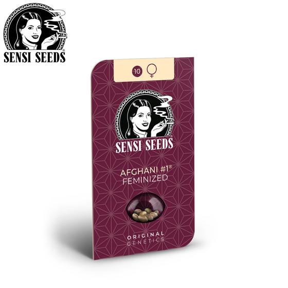 Samen, Sensi Seeds®, Afghani #1