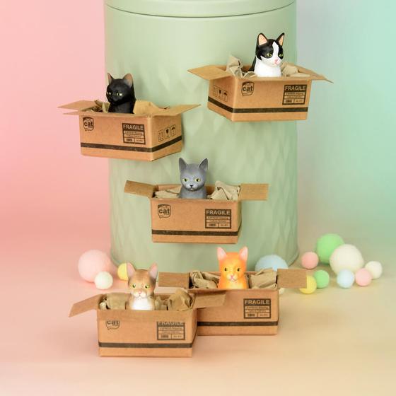 KATZENMUDDI Katze im Karton Magnet - schwarz