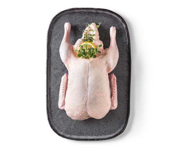  Pekingente mit Hals und Innereien