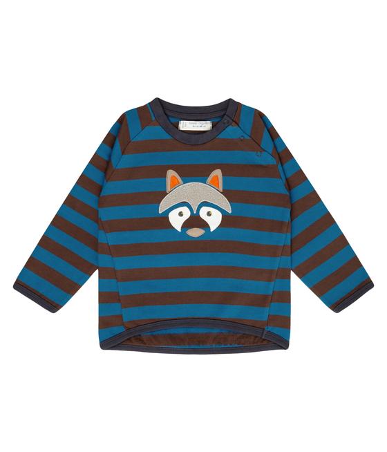 Sweater Raccoon, braun-blau-gestreift, Biobaumwolle, GOTS-zertifiziert