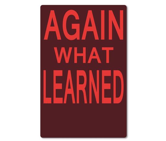 Kraeftiger Kuehlschrankmagnet aus Magnetfolie in ungefaehrer Groesse einer Bankkarte - Beste Denglisch-Sprueche - Again what learned. 