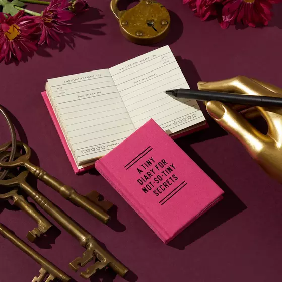 A Tiny Diary For Not So Tiny Secrets by Brass Monkey