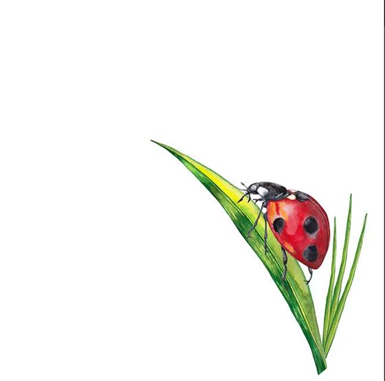 Serviette | Papier-/ Lunchserviette Ladybug on grass