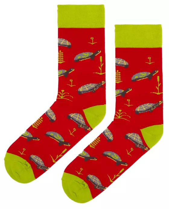 Organic Socken Schildkröte