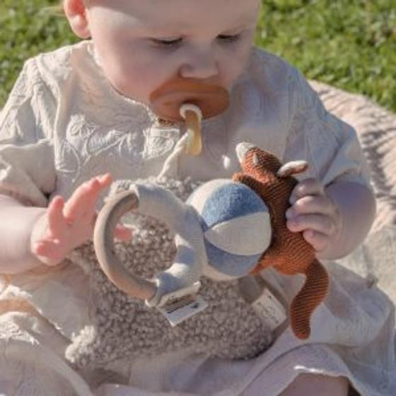 Baby Bello Rassel  Frey der rote Fuchs Heidelbeere