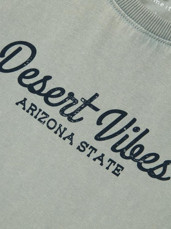 Name It T-Shirt Desert Vibes Slate Gray